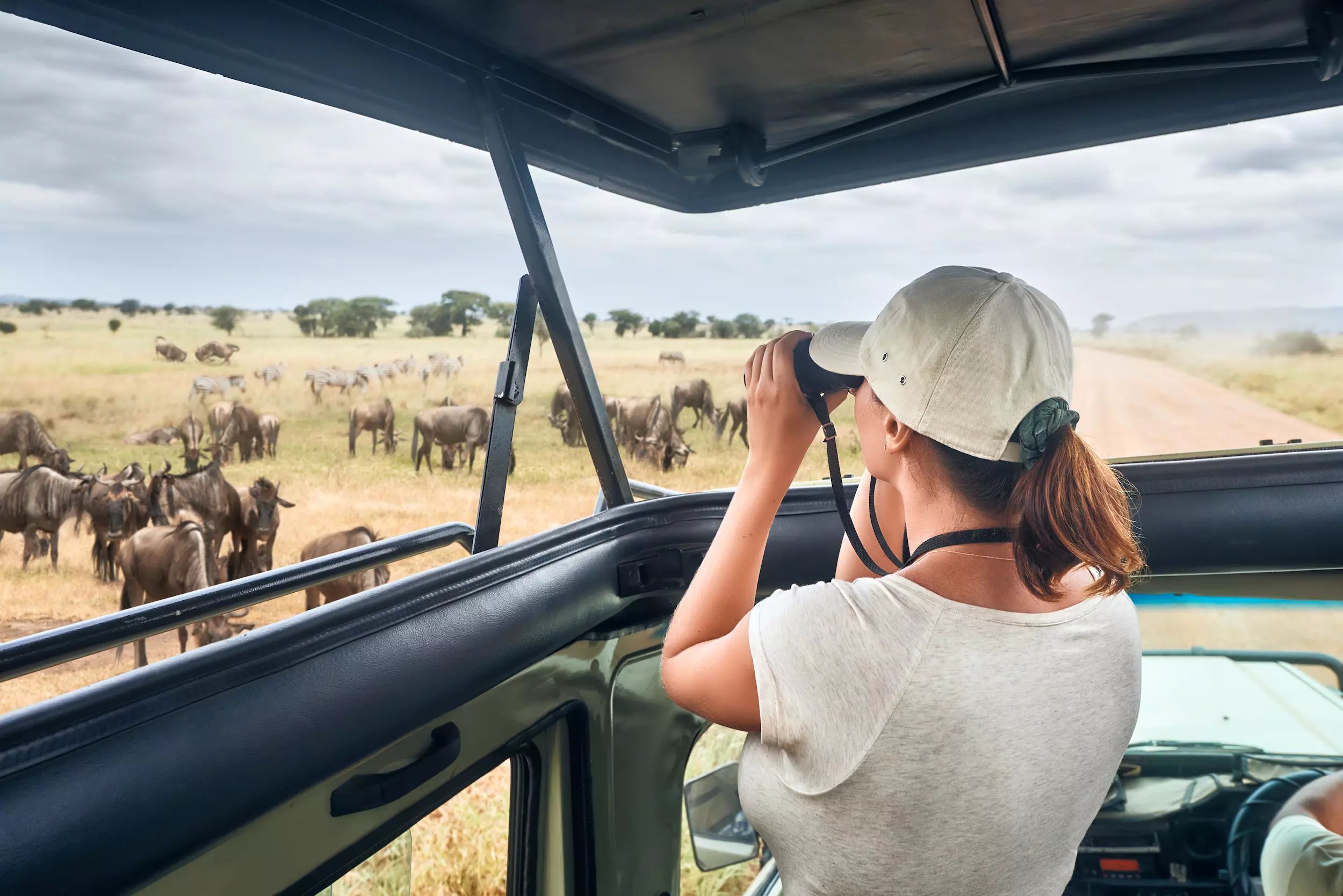 Monica Popular Tours